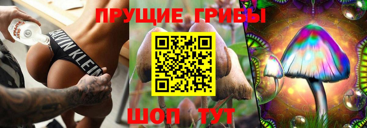 Галлюциногенные грибы прущие грибы  Вход с VPN  Апрелевка 